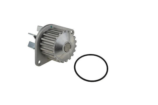 NTY Car Water Pump for Peugeot 106 / 205 / 206 / 306 / 307 / 309 / 405 / Partner Citroen AX / Berlingo / BX / C15 / Saxo / Xsara / ZX
