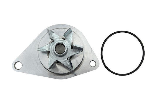 NTY Car Water Pump for Peugeot 106 / 205 / 206 / 306 / 307 / 309 / 405 / Partner Citroen AX / Berlingo / BX / C15 / Saxo / Xsara / ZX