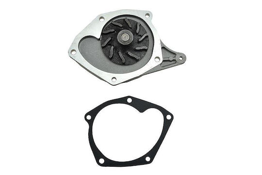 NTY Car Water Pump for Suzuki Jimny Renault Clio / Kangoo / Megane / Scenic / Thalia Nissan Almera / Kubistar / Micra / Qashqai
