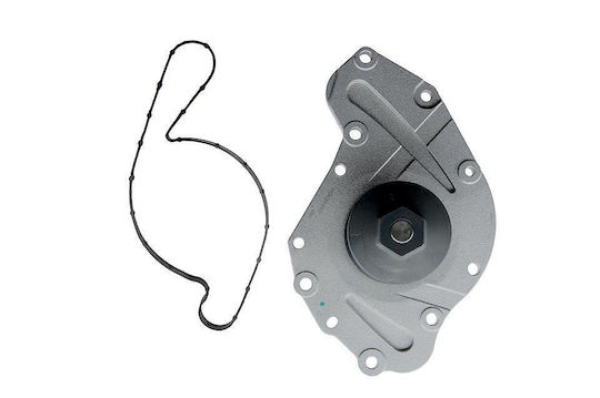 NTY Car Water Pump for Chrysler 300C / Grand Voyager / Pacifica / Sebring Dodge Charger / Journey / Nitro