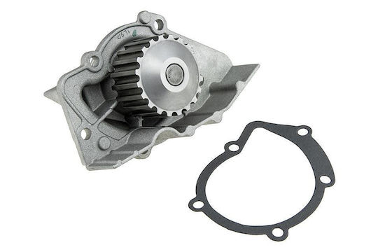 NTY Car Water Pump for Peugeot 205 / 306 / 309 / 405 / 406 / 806 / Expert / Partner Fiat 126 / Cinquecento / Ulysse Citroen Berlingo / BX / Evasion / Xantia / Xsara / ZX