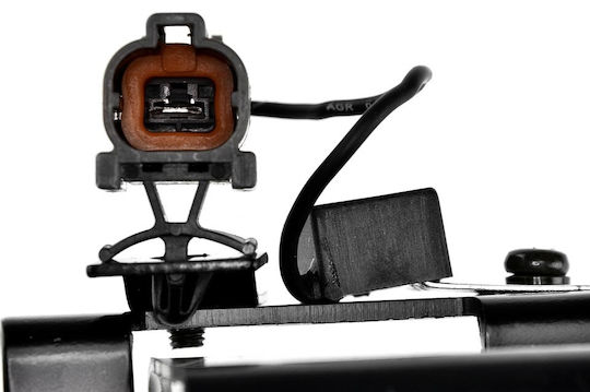 NTY Multiplicator de motor auto pentru Peugeot Expert Fiat Brava / Felicitări / Fiorino / Marea / Palio / Punct / Scudo / Siena / Tempra Citroen Săritor Kia Rio Honda Conformitate Skoda Ridicare Land Rover Descoperire / Range Rover Lancia Dedra / Kappa