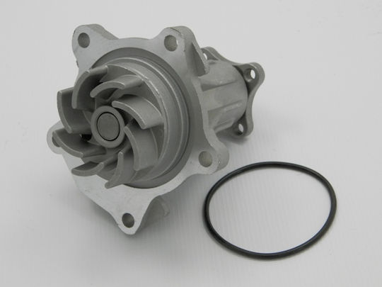 NTY Car Water Pump for Ford Escort / Scorpio / Sierra / Transit / Tourneo