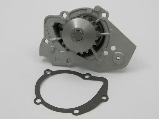 NTY Car Water Pump for Peugeot 205 / 305 / 306 / 309 / 405 / 406 / 605 / 806 / Boxer / Expert / J5 / Partner Fiat Ducato / Scudo / Ulysse Citroen Berlingo / BX / C15 / Evasion / Jumper / Jumpy / Visa / Xantia / XM / ZX Mini Cabrio Smart ForTwo Land Rover Defender Lancia Zeta