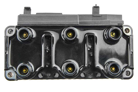 NTY Car Ignition Coil for Opel Frontera Citroen C4 Volkswagen Corrado / Golf / Passat / Sharan / Transporter / T4 / Vento Audi 100 / 80 / A6 Ford Galaxy Chevrolet Epica Daewoo Lanos / Leganza / Nubira