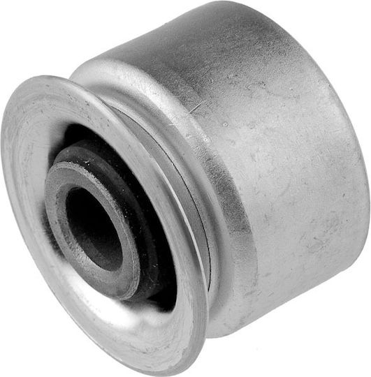 NTY Храсти за Citroen Berlingo / C4 / C4 Grand Picasso / C4 Picasso / C5 / C6 / DS / DS4 Opel Адам / Комбо / Корса Peugeot 206 / 3008 / 307 / 308 / 406 / 407 / 5008 / 508 ZTP-PE-001G
