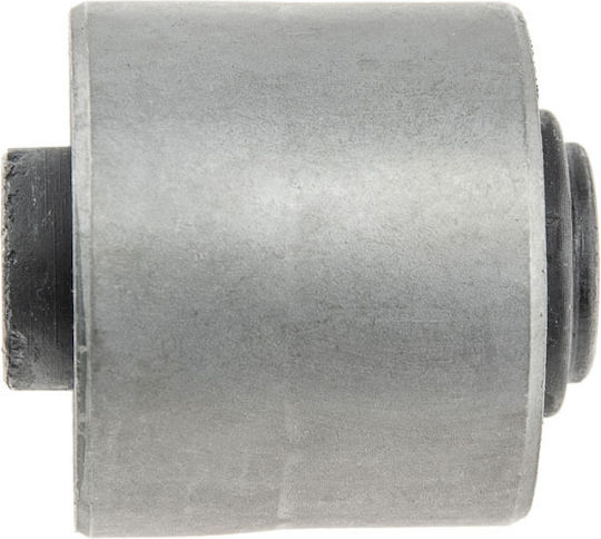 NTY Храсти за Nissan Juke / Murano / Qashqai / X-Trail Renault Колеос ZTT-NS-033B