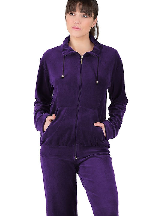 Rachel Women's Jogger Sweatpants Purple Velvet