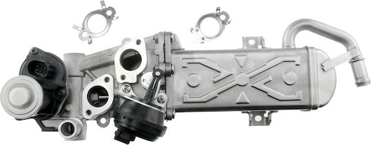 NTY Вентил EGR Кола за Seat Altea / Leon Skoda Octavia / Superb / Yeti Volkswagen Beetle / Caddy / Eos / Golf Plus / Golf / Jetta / Passat / Passat CC / Scirocco / Sharan / Tiguan / Touran Audi A3 / Q3 / TT