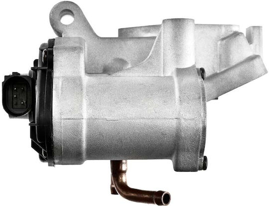 NTY Car EGR valve για Opel Movano Renault Mascott / Master Nissan Interstar