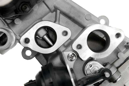NTY Вентил EGR Кола за Seat Altea / Leon Skoda Octavia / Superb / Yeti Volkswagen Beetle / Caddy / Eos / Golf Plus / Golf / Jetta / Passat / Passat CC / Scirocco / Sharan / Tiguan / Touran Audi A3 / Q3 / TT