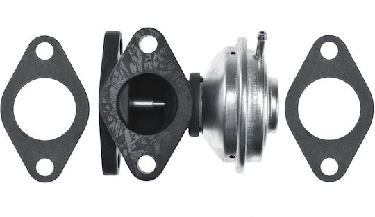 NTY Car EGR valve για Skoda Superb Volkswagen Passat Audi A4 / A6 / A8 / Allroad