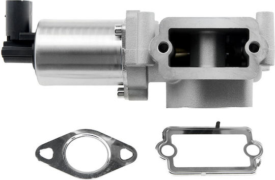NTY Вентил EGR Кола за Fiat Doblo / Palio / Strada