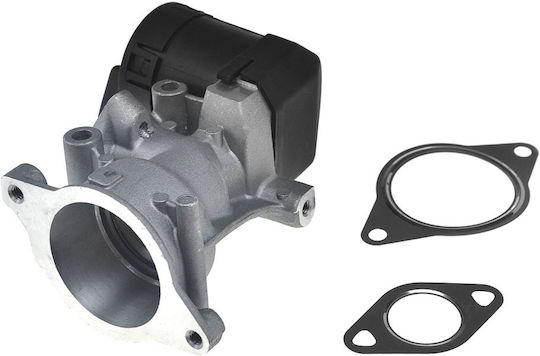 NTY Вентил EGR Кола за Peugeot 307 / 308 / 407 / 508 / 607 / 807 / Expert / Expert Tepee Fiat Scudo / Ulysse Citroen C4 / C4 Grand Picasso / C4 Picasso / C5 / C8 / Jumpy Volvo C30 / C70 / S40 / S80 / V50 / V70 Ford C-Max / Focus C-Max / Focus / Galaxy / Kuga / Mondeo / S-Max Alfa Romeo Mito Lancia Phedra