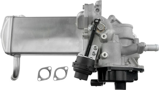 NTY Вентил EGR Кола за Volkswagen Amarok