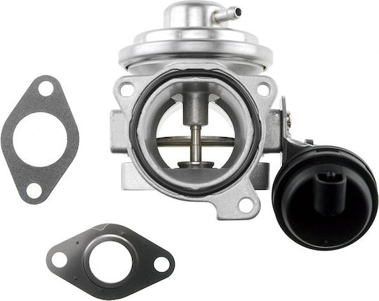 NTY Вентил EGR Кола за Seat Cordoba / Ibiza Skoda Fabia / Praktik / Octavia Volkswagen Polo