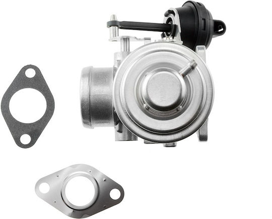 NTY Вентил EGR Кола за Seat Cordoba / Ibiza Skoda Fabia / Praktik / Octavia Volkswagen Polo