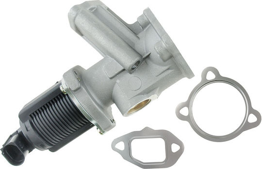 NTY Car EGR valve για Opel Agila / Combo / Corsa / Meriva / Tigra Fiat 500 / Doblo / Fiorino / Grande Punto / Idea / Palio / Panda / Punto / Punto Evo / Qubo / Siena Suzuki Ignis / Swift / Wagon R+ Lancia Musa / Ypsilon