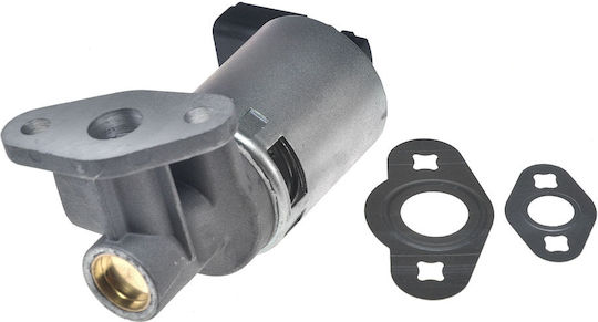 NTY Вентил EGR Кола за Chrysler Pacifica