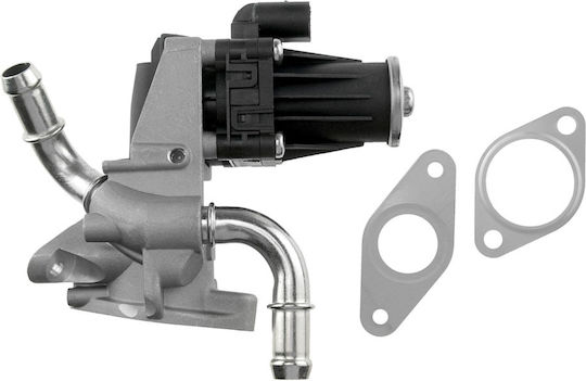 NTY Car EGR valve για Ford Transit / Tourneo
