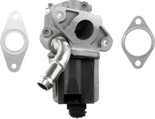 NTY Car EGR valve για Ford Transit / Tourneo
