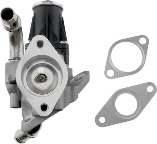 NTY Car EGR valve για Ford Transit / Tourneo