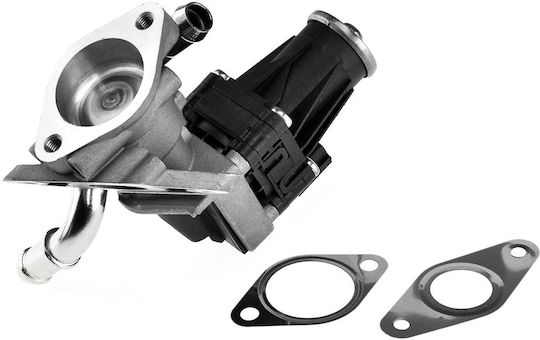 NTY Вентил EGR Кола за Peugeot Boxer Citroen Jumper Volkswagen Up Ford Ranger / Transit / Puma Mazda BT-50