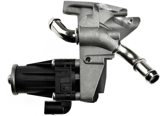 NTY Вентил EGR Кола за Peugeot Boxer Citroen Jumper Volkswagen Up Ford Ranger / Transit / Puma Mazda BT-50