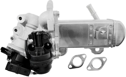 NTY Вентил EGR Кола за Peugeot 3008 / 308 / 407 / 5008 / 508 / 807 / Expert / Expert Tepee / RCZ Citroen C4 Grand Picasso / C4 / C4 Picasso / C5 / C8 / DS4 / DS5 / Jumpy Ford Focus / Galaxy / Grand C-Max / Kuga / Mondeo / S-Max