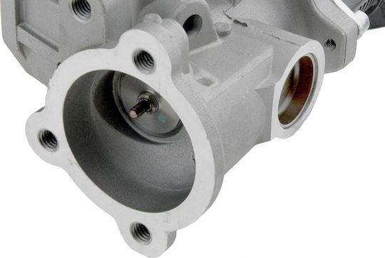 NTY Βαλβίδα EGR Αυτοκινήτου για Fiat 500 / Idea / Panda Ford Ka Lancia Musa