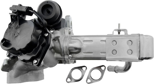 NTY Вентил EGR Кола за Peugeot 3008 / 308 / 407 / 5008 / 508 / 807 / Expert / Expert Tepee / RCZ Citroen C4 Grand Picasso / C4 / C4 Picasso / C5 / C8 / DS4 / DS5 / Jumpy Ford Focus / Galaxy / Grand C-Max / Kuga / Mondeo / S-Max