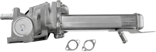 NTY Вентил EGR Кола за Volkswagen Amarok / Golf