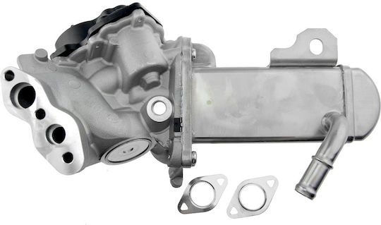 NTY Вентил EGR Кола за Peugeot 3008 / 308 / 407 / 5008 / 508 / 807 / Expert / Expert Tepee / RCZ Citroen C4 Grand Picasso / C4 / C4 Picasso / C5 / C8 / DS4 / DS5 / Jumpy Ford Focus / Galaxy / Grand C-Max / Kuga / Mondeo / S-Max