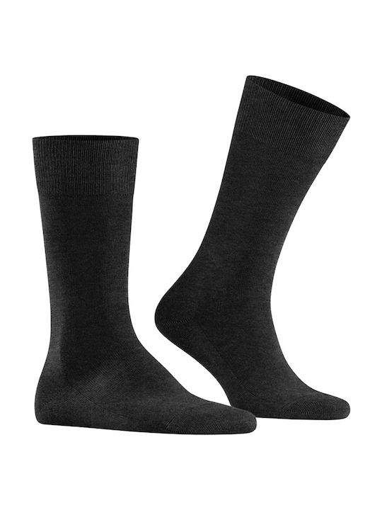 Falke Family Men's Socks Gray