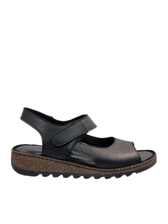 Pace Comfort