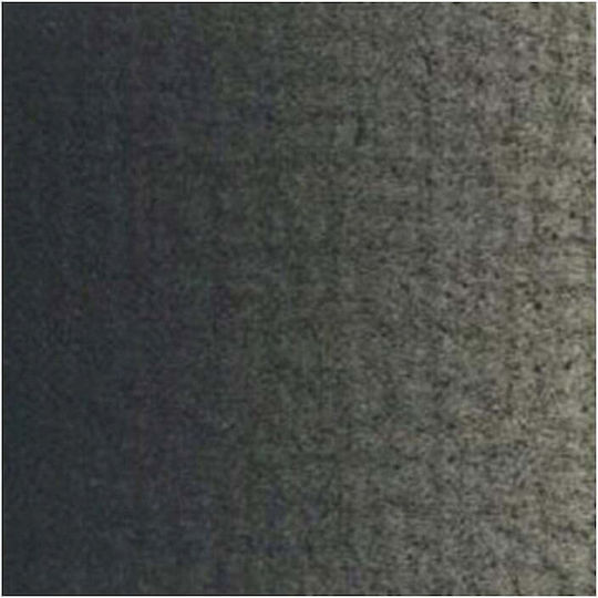 Royal Talens Van Gogh Seturi de Culori Ulei Gri 40ml 1buc