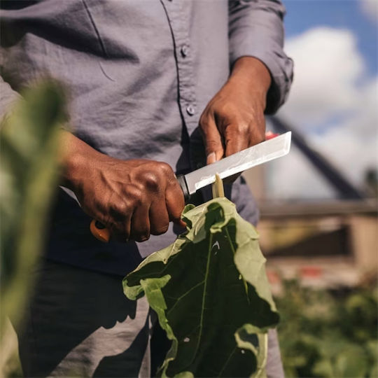Fiskars Grafting Knife 1062830