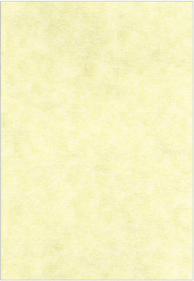 Premium Fine Paper Hârtie de Imprimare Papyrus A4 180gr/m² 1x125 foi Bej 810.180.2059