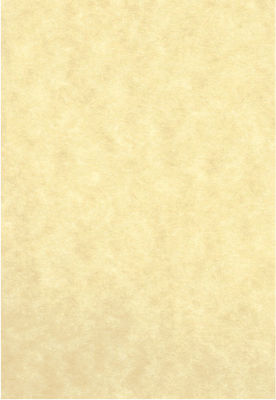 Premium Fine Paper Druckpapier Papyrus A4 90gr/m² 1x250 Blätter Braun 810.90.2052