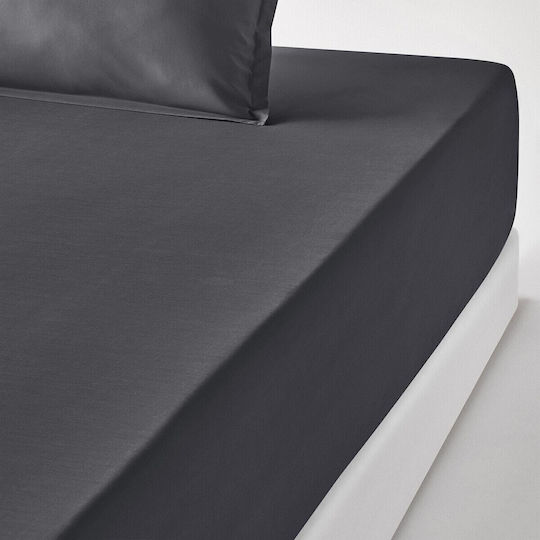 La Redoute Interieurs Cearșaf Single cu Elastic 90x200+35cm. Bej