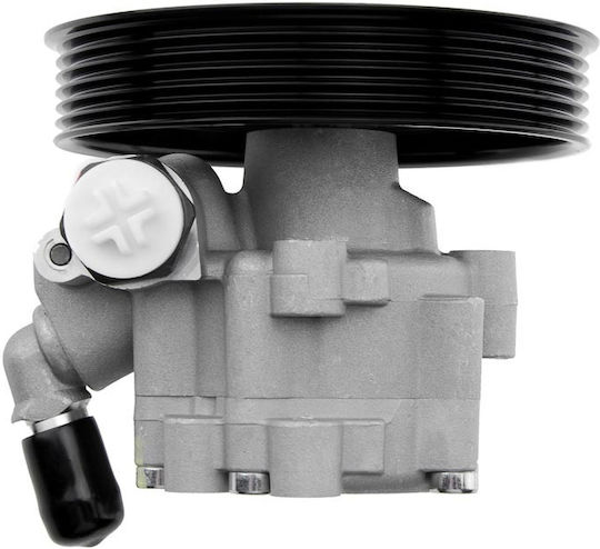 NTY Power Steering Pump Car for Renault Clio / Megane / Scenic / Kangoo / Express / Thalia Ford Express Dacia Duster / Logan / Logan MCV / Logan Pick-Up / Sandero Chevrolet Express
