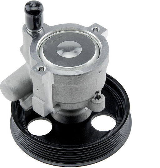 NTY Power Steering Pump Car for Renault Megane / Scenic / Laguna / Express Ford Express Dacia Duster / Logan / Logan MCV / Logan Pick-Up / Sandero Chevrolet Express