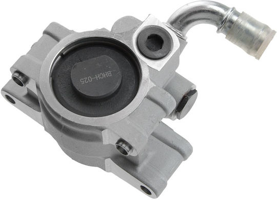 NTY Servolenkungspumpe Auto für Ford Entdecker