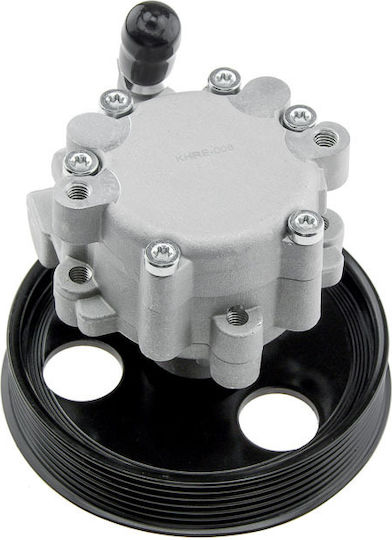 NTY Power Steering Pump Car for Renault Clio / Megane / Scenic / Kangoo / Express / Thalia Ford Express Dacia Duster / Logan / Logan MCV / Logan Pick-Up / Sandero Chevrolet Express