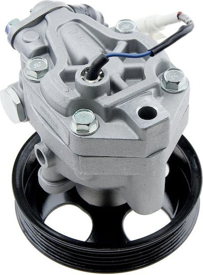 NTY Servolenkungspumpe Auto für Subaru Forstwirt