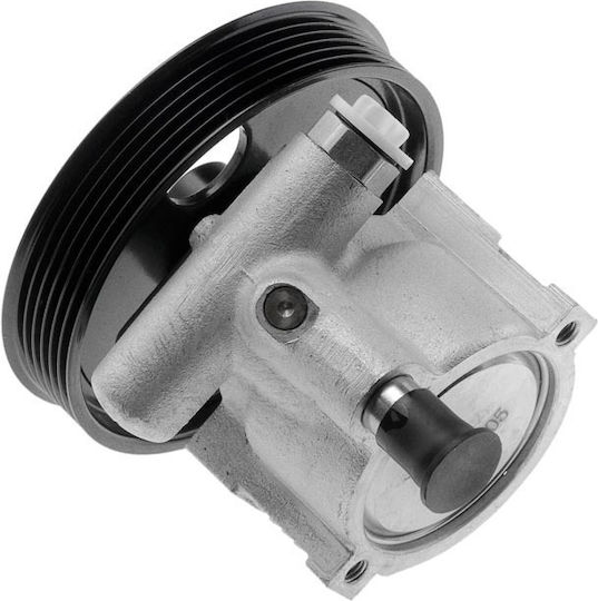 NTY Power Steering Pump Car for Renault Clio / Megane / Scenic / Kangoo / Express / Thalia Ford Express Dacia Logan / Logan MCV / Logan Pick-Up / Sandero Chevrolet Express