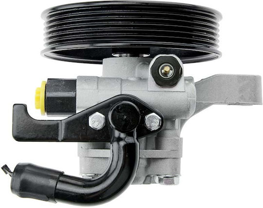 NTY Power Steering Pump Car for Kia Sorento