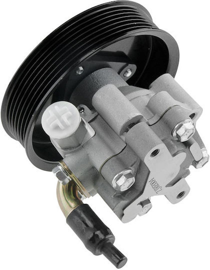 NTY Power Steering Pump Car for Opel Movano Renault Master