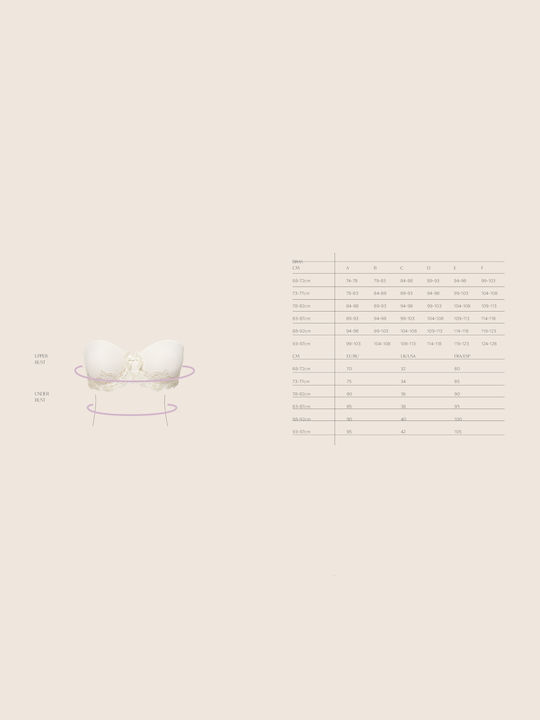 Bra with Light Padding Underwire Black