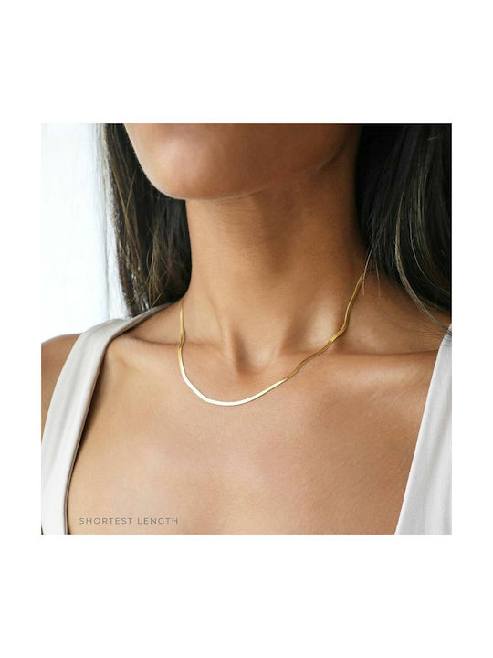 Amor Amor Chain Neck Snake Gold-plated Thin Thickness 3mm